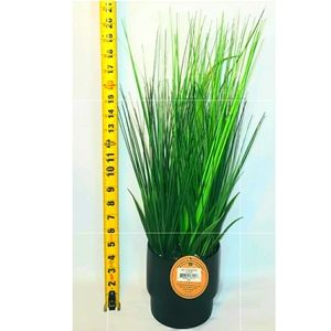 Artificial Grass House Plant in ceramic pot